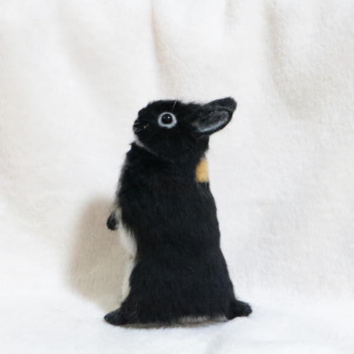 sold うたっちをしているブラックオターのうさぎさん