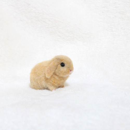 羊毛フェルト うさぎ ロップイヤー ハンドメイド ぬいぐるみ