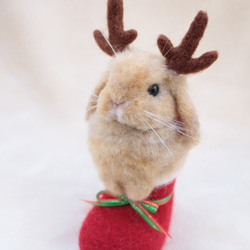 クリスマスブーツなトナカイうさぎさん  ホーランドロップイヤー  羊毛フェルト   オレンジ 2枚目の画像