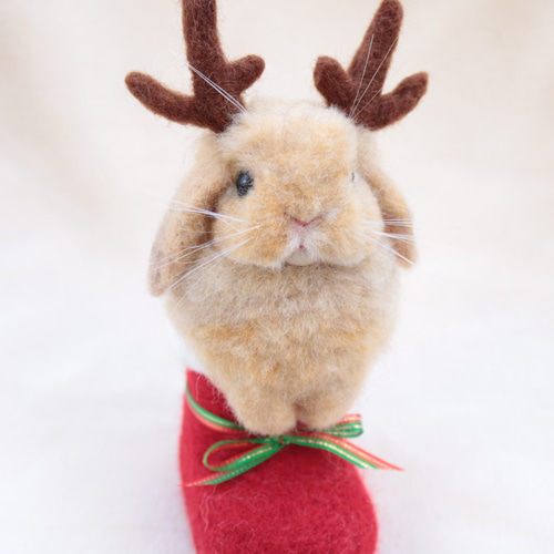 クリスマスブーツなトナカイうさぎさん ホーランドロップイヤー 羊毛