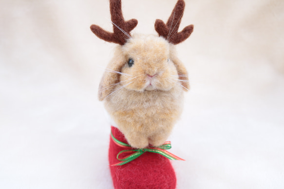 クリスマスブーツなトナカイうさぎさん  ホーランドロップイヤー  羊毛フェルト   オレンジ 6枚目の画像
