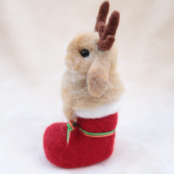 クリスマスブーツなトナカイうさぎさん  ホーランドロップイヤー  羊毛フェルト   オレンジ 7枚目の画像