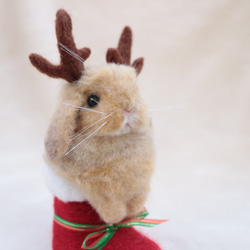 クリスマスブーツなトナカイうさぎさん  ホーランドロップイヤー  羊毛フェルト   オレンジ 8枚目の画像