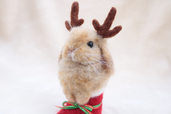 クリスマスブーツなトナカイうさぎさん  ホーランドロップイヤー  羊毛フェルト   オレンジ 9枚目の画像