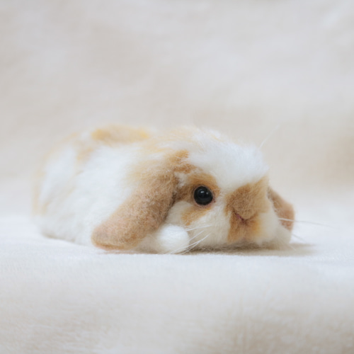 羊毛フェルト オーダー 「リアルで可愛いウサギちゃん」ホーランドロップイヤー ウサギ寝姿羊毛フェルト人形2-