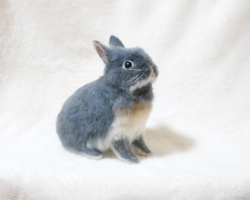 ブルーオターのうさぎさん ネザーランドドワーフ 羊毛フェルト