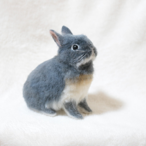 ブルーオターのうさぎさん ネザーランドドワーフ 羊毛フェルト
