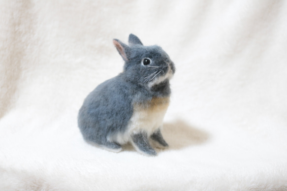 ブルーオターのうさぎさん ネザーランドドワーフ 羊毛フェルト