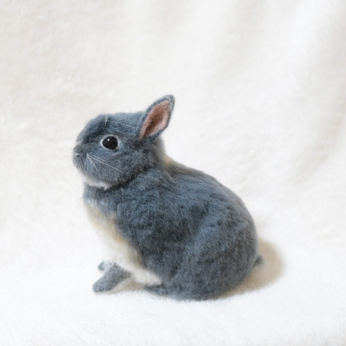 ブルーオターのうさぎさん ネザーランドドワーフ 羊毛フェルト 羊毛