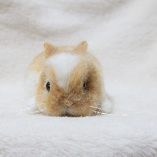 u.☆様オーダー 羊毛フェルト うさぎ のびーーーるネザーランド