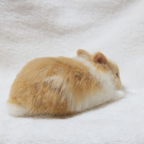 sold ペタッとしている子うさぎさん ネザーランドドワーフ ブロークン