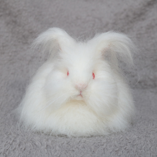 soldもっふもふなアンゴラうさぎさん 羊毛フェルト 羊毛フェルト