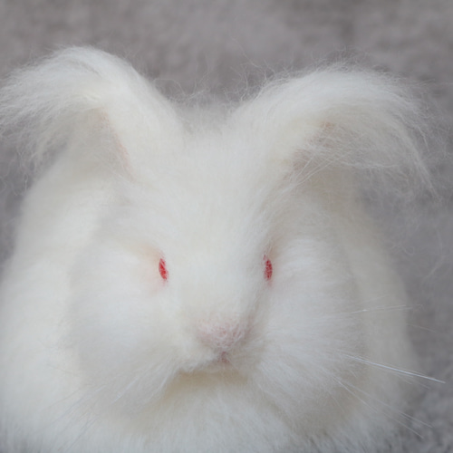 soldもっふもふなアンゴラうさぎさん 羊毛フェルト 羊毛フェルト