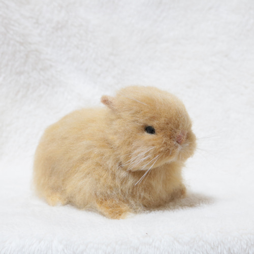 ロップイヤー ブロークンオレンジ 全身 羊毛フェルト ハンドメイド