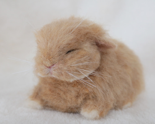 1_1f13caa76411c563450b9d2c6753