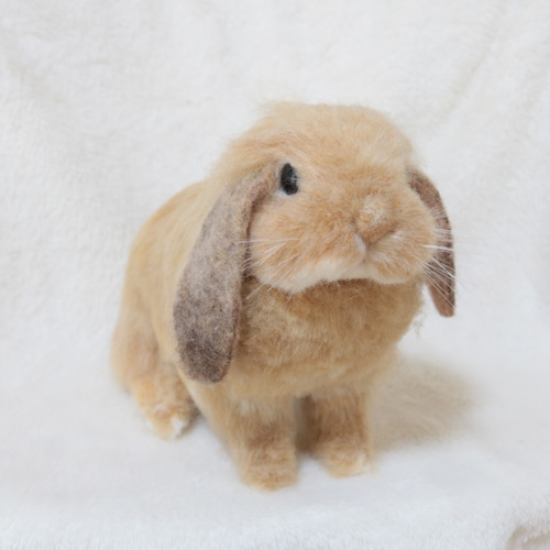 確認用　羊毛フェルト　うさぎ　ボールチェーン　ライラック 確認用 羊毛フェルト うさぎ ボールチェーン ライラック 確認用 羊毛