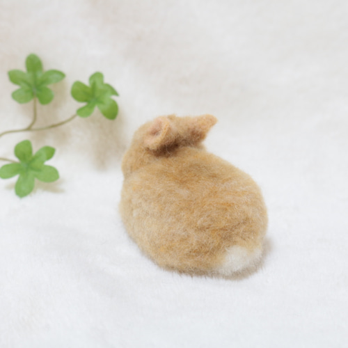 小さな手のひらうさぎさん ネザーランドドワーフ オレンジ 羊毛