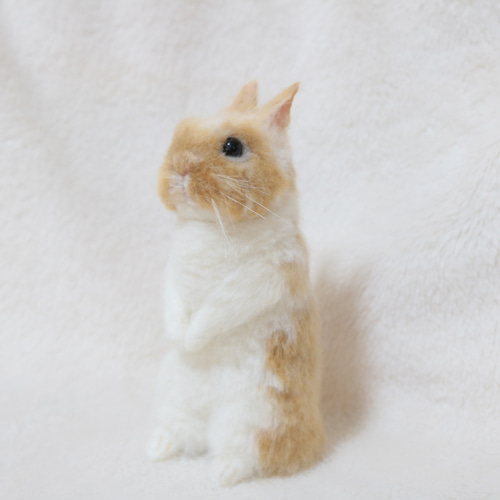 fluffyteddy＊手染めヒマラヤンうさぎ。 rabbit ハンドメイド・手芸 fluffyteddy＊手染めヒマラヤンうさぎ。