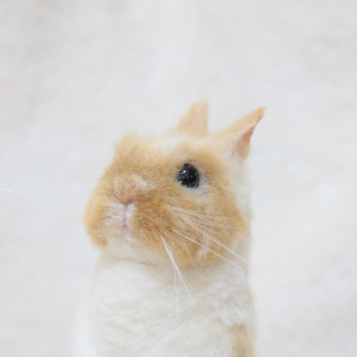のあ様オーダー　羊毛フェルト　うさぎ　まったりオレンジドワーフ確認用 soldうたっちをしているうさぎさん ネザーランドドワーフ ブロークン
