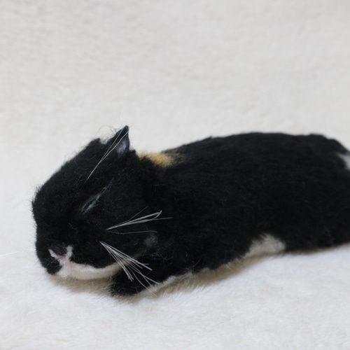すやすやおねんね中のうさぎさん ネザーランドドワーフ ブラック