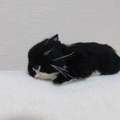 すやすやおねんね中のうさぎさん ネザーランドドワーフ ブラック