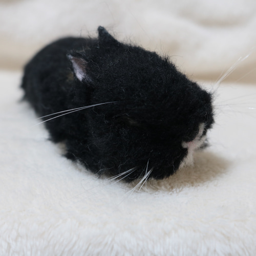 すやすやおねんね中のうさぎさん ネザーランドドワーフ ブラック