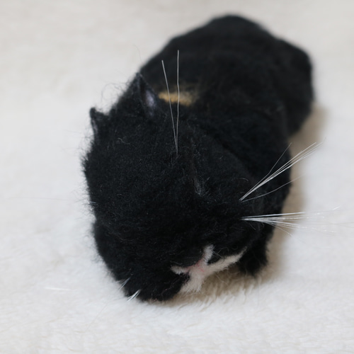 すやすやおねんね中のうさぎさん ネザーランドドワーフ ブラック