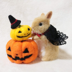 【mini】ハロウィンうさぎさん 1_9ea340f7665bc40dbd041834ca17