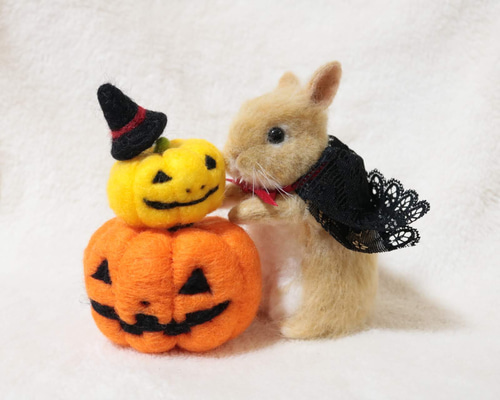 1_9ea340f7665bc40dbd041834ca17