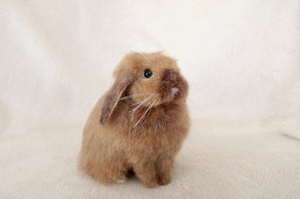 トートのうさぎさん ホーランドロップイヤー 羊毛フェルト 羊毛