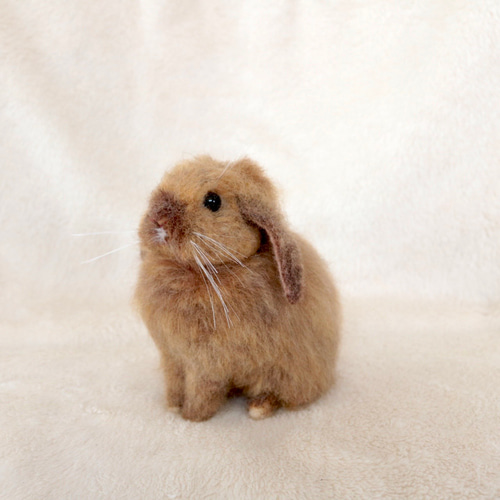 新品レア6枚set⭐️うさぎ&パンジー&宇宙の日限定ミルキーウェイ⭐️フェルメール トートのうさぎさん ホーランドロップイヤー 羊毛フェルト 羊毛