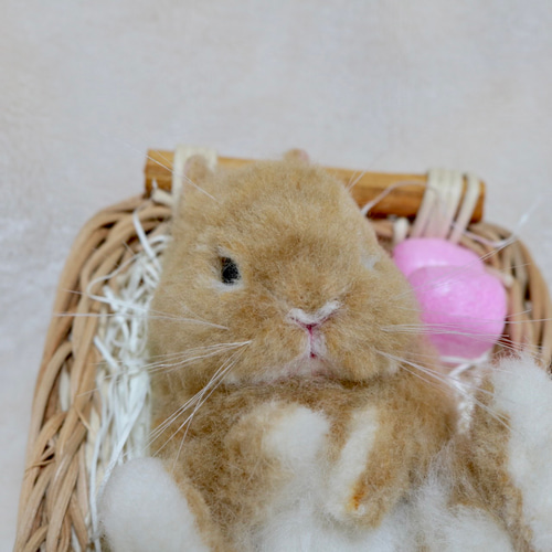 じょんこ様 うさぎさん羊毛フェルト fuwafuwa 羊毛フェルト うさぎさんブローチ付ポーチ | ラビット