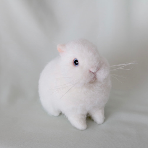 羊毛フェルト　うさぎ黒柴ちゃん・うさぎくまちゃん2点トピアリーガラスドーム 12b9321e32c65d0f99c997492116d6