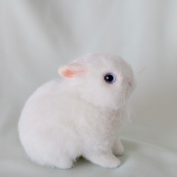 1_4e8bfba17f55ec365edb6433f030