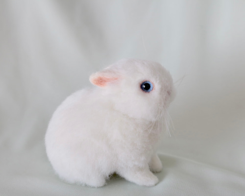 1_4e8bfba17f55ec365edb6433f030