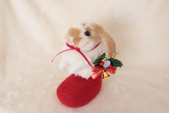 クリスマスブーツなうさぎさん ホーランドロップイヤー 羊毛フェルト 