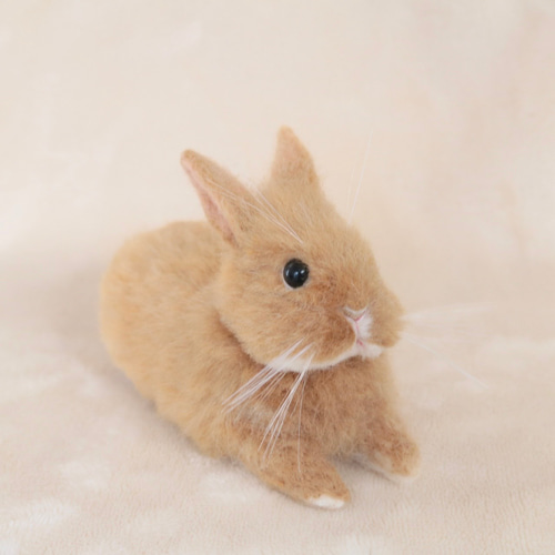 リラックスポーズのうさぎさん ネザーランドドワーフ オレンジ 羊毛
