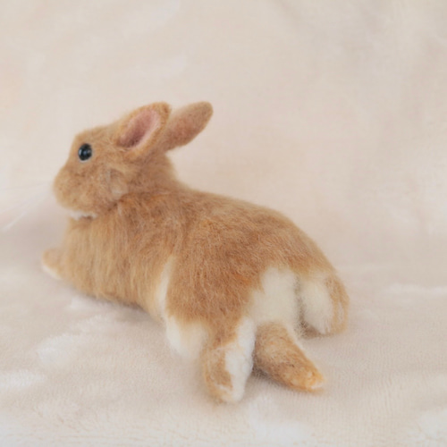 リラックスポーズのうさぎさん ネザーランドドワーフ オレンジ 羊毛