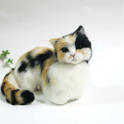 【送料無料】香箱座りの三毛猫ちゃん 3枚目の画像