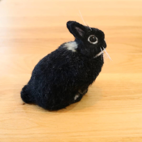 うさぎ様はブラック1枚 うさぎ・ブラックオター | iichi 日々の暮らしを心地よくする