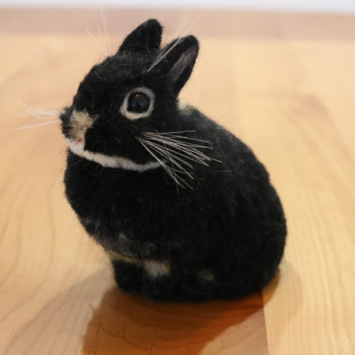 ブラックオターのうさぎさん ネザーランドドワーフ 羊毛フェルト