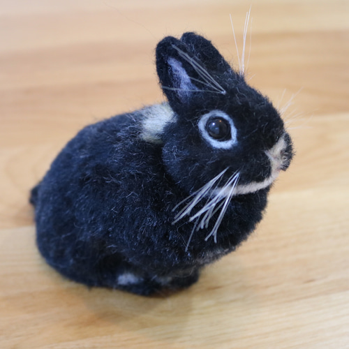 難あり ウサギ 毛皮 ラビット 黒M sizeフランス産 ブラックオターのうさぎさん ネザーランドドワーフ 羊毛フェルト