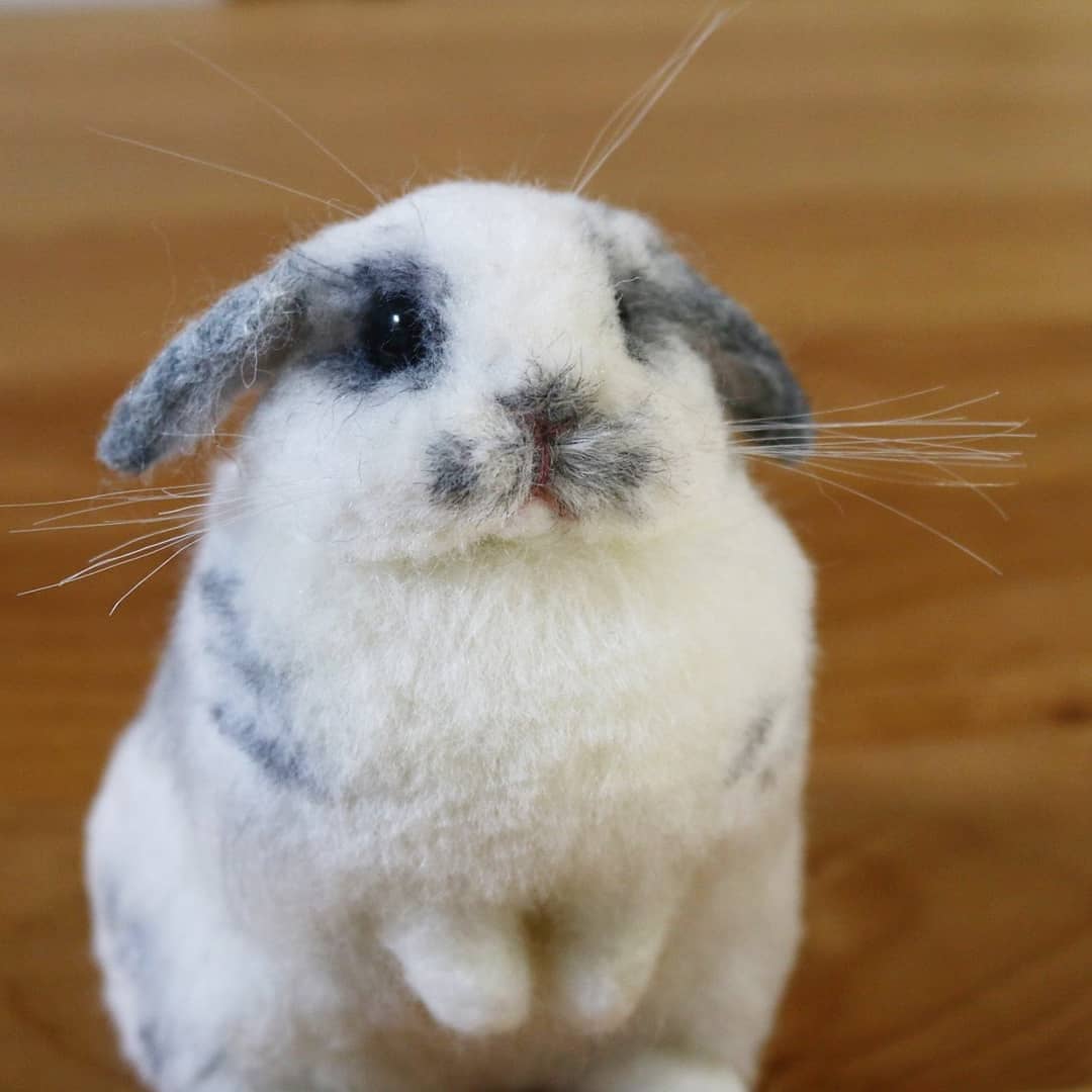 ロップイヤーのうさぎさん ブロークンブルー グレー 羊毛フェルト 羊毛