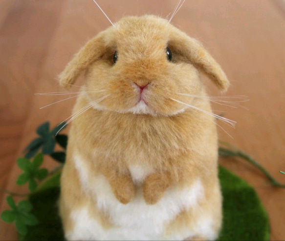 ぬいぐるみ 作家 ロップイヤーなうさぎさん ぬいぐるみ作家ロップ