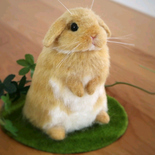 ロップイヤーのうさぎさん オレンジ 羊毛フェルト 羊毛フェルト