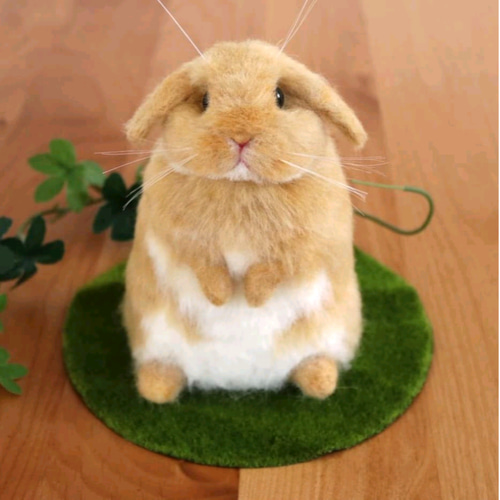 ロップイヤーのうさぎさん オレンジ 羊毛フェルト 羊毛フェルト