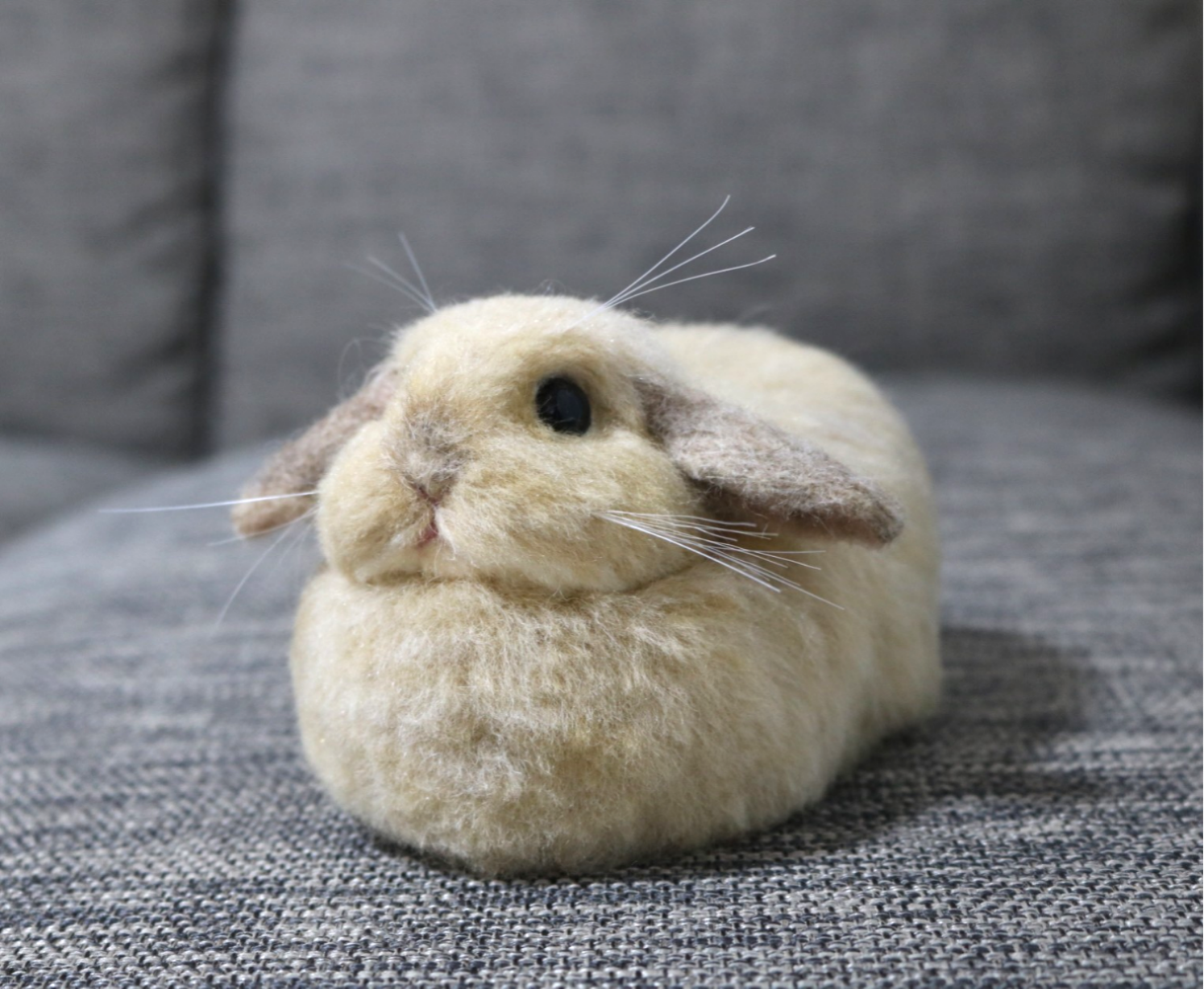 ロップイヤーのうさぎさん リンクス 羊毛フェルト 羊毛フェルト ロップイヤーのうさぎさん リンクス 羊毛フェルト 羊毛フェルト