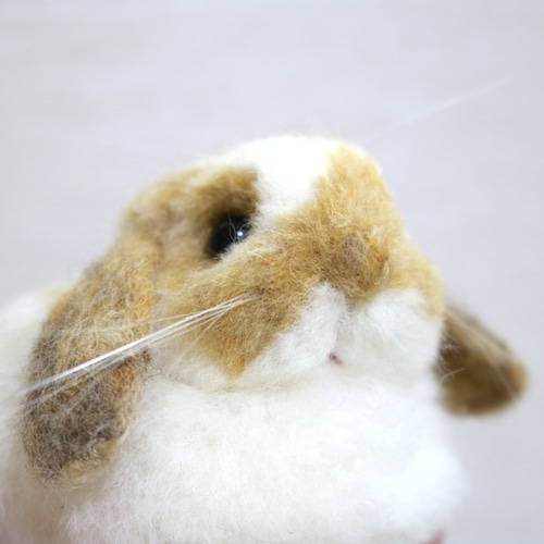 ロップイヤーのうさぎさん ブロークンオレンジ 羊毛フェルト 羊毛