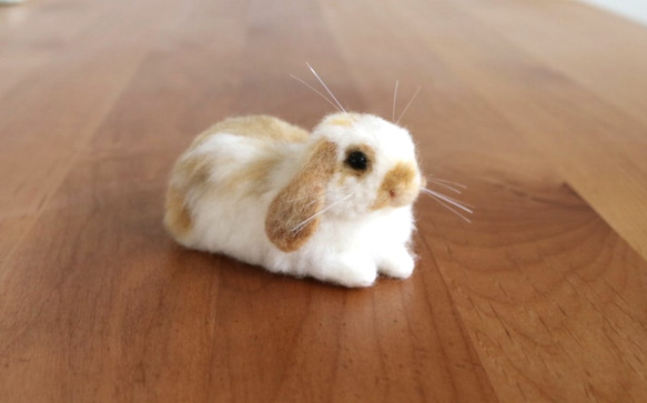ロップイヤー ブロークンオレンジ 全身 羊毛フェルト ハンドメイド インテリア sold)ペタッとしているうさぎさん ロップイヤー ブロークン