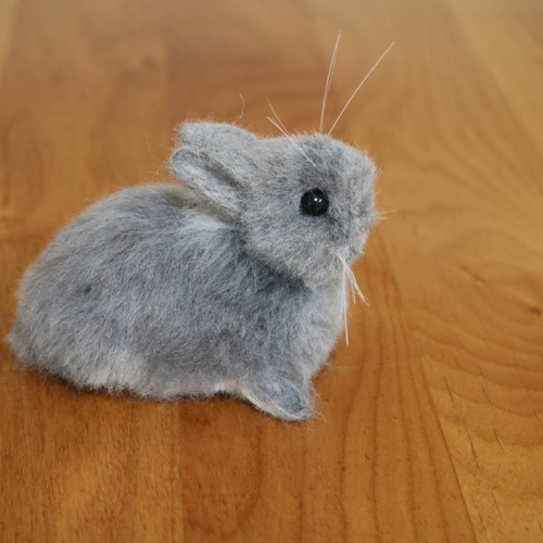 sold)ネザーランドドワーフのベビーうさぎさん ブルーシルバーマーチン
